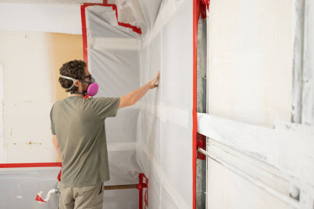 Best Post-Remediation Verification Testing  in Lemmon Valley, NV