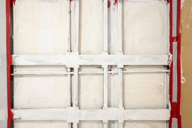 Best Mold Odor Removal Services  in Lemmon Valley, NV